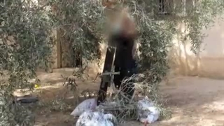 حملات خمپاره ای 60 - 81 و 120 رزمندگان مقاومت بر روی دشمن صهیونیستی در طوفان الاقصی