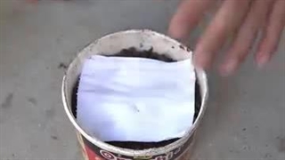 ویدیوی آموزش کاشت توت فرنگی