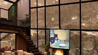 تماشای برف از داخل خونه شیشه ای 