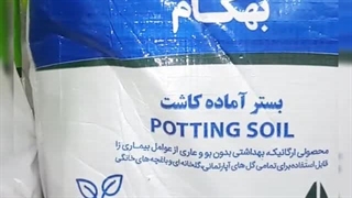 بهترین خاک مناسب گلدان گل گلدون تکثیر قلمه ارگانیک مغذی قوی بهداشتی تقویتی  فیکوس الاستیکا