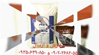 بهترین خاک مناسب گلدان گل گلدون تکثیر قلمه ارگانیک مغذی قوی بهداشتی تقویتی کراسولا خرفه ای