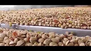 شرکت پخش پسته عمده