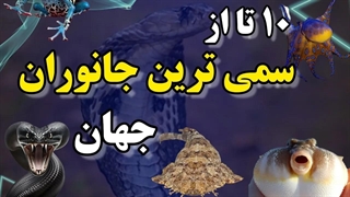 سمی ترین جانوران: ۱۰ تا از سمی ترین جانوران که سمی بسیار خطرناک و کشنده دارند