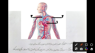 نمونه تدریس درس 10 علوم پایه چهرم