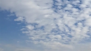 تخلیه نخاله ممنوع