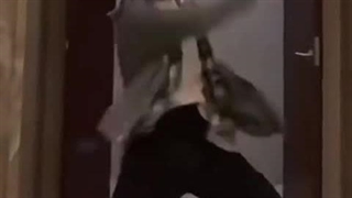 ویدیو پر دبیو ژانگ هائو زیروبیسوان(کاور اهنگ ایزوان)