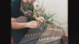 سنتور نوازی درنه جان