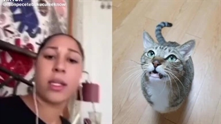 Pov:تهیون عکس نشون میدیم هر کسی رو که دوست داشتی با آهنگ همخونی بکن