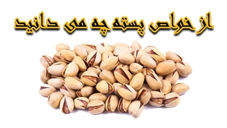 خواص پسته برای مردان - گزنیکومنش