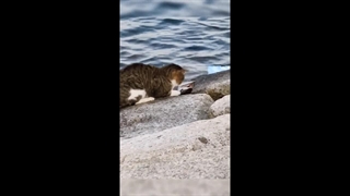 چگونه در سال 2024 کسب درآمد کنیم