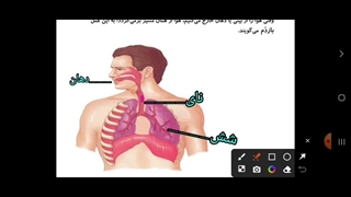 نمونه تدریس درس 10 از کتاب علوم پایه ی چهارم
