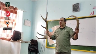 از عودلاجان تا هیرکانی