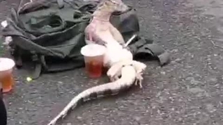 سپاسگزارم از پرسشتون بله هنوز در قید حیاتم.