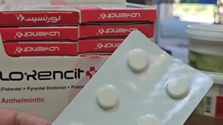 آموزش انگل تراپی سگ - قرص ضد انگل لورنسیت - پت شاپ حامی پت