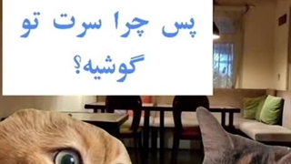 وضعیت درس خوندنمون