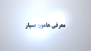 هامون بسپار تولید کننده انواع مستربچ