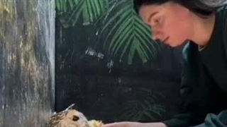 غذا خوردن جالب جغد زیبا