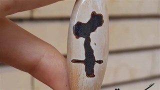 نگین انگشتر عقیق خاص کلکسیونی با نقش پرنده _کد:۹۷۷۳