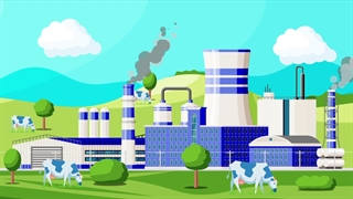 خطای غیرقابل برگشت از یک مدیر فنی