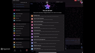 معرفی و راهنمای تلگرام پرمیوم - تلگرام پرمیوم چیست؟
