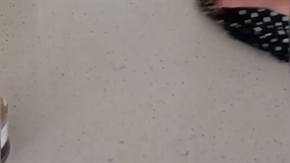 تمیز کردن سنگ ساختمانی(کانتر آشپزخانه) با واکس سنگ و نحوه اجرا