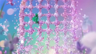 میلاد حضرت فاطمه زهرا (س) و روز زن مبارک باد.