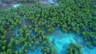 زیبایی های ایران در یک نگاه | Iran