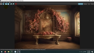 بکدراپ های عکاسی