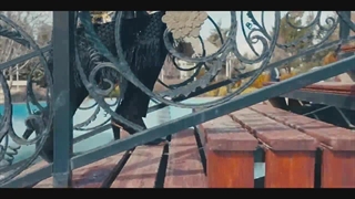 فیلم سینمایی شهر هرت لینک دانلود در پایین توضیحات