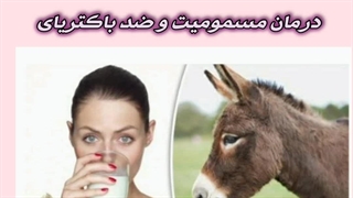 شیر الاغ درمان قطعی /09120750932