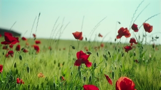 سریال بازی مرگ (Death's game) قسمت هشتم (قسمت اخر)