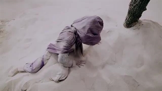 قسمت پانزدهم سریال چینی کارآگاه دی detective dee با زیرنویس فارسی