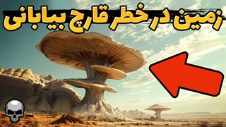 یک قارچ خطرناک در حال پخش شدن در تمام بیابان های زمین است!