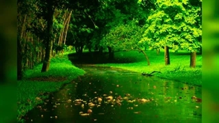 موزیک مدیتیشن | موزیک ریلکسیشن | ضد استرس | موزیک تمرکز و خواب عمیق | relaxing music