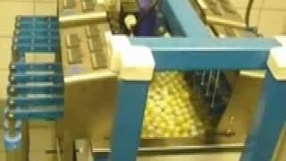 شرکت چشمه سار جاری نماینده نائو آلمان در ایران