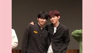 وایییییی این دو کیوتی را نمیتوانم