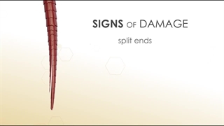 قشم مارت - نرم کننده شماره 5 اولاپلکس