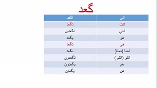 آموزش  مکالمه  عربی عراقی ، خلیجی (خوزستانی) گوته با استاد ۱۰ زبانه