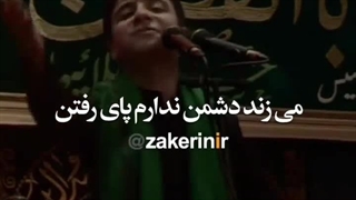بابا.مرحوم سید محمد باقرعلوی پالپوتومی