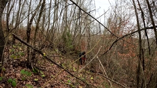 3 Days Solo Bushcraft