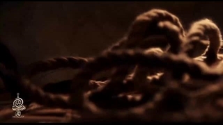 مداحی مهدی رسولی الحمدالله نوکرتم