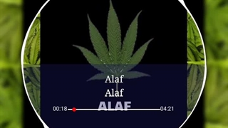 اهنگ متین ادیتور علف music matin editor alaf