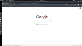 009 Reverse Image Searching