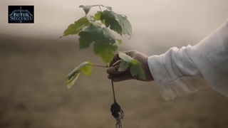 دانلود رایگان سریال ترکی آلپ ارسلان