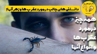 دانستنی های جالب درمورد عقرب