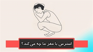 استرس با ما مغز چه می‌کند؟