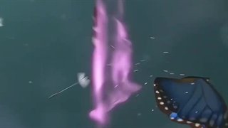 هر چی میخوام بیشتر راجب معنای زندگی فکر کنم بیشتر به بی معنی بودنش پی میبرم