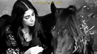 چامک ، مهدی بابایی ( سوشیانت )