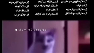 این گربه چه میگوید؟