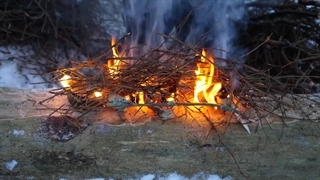 Winter Bushcraft
